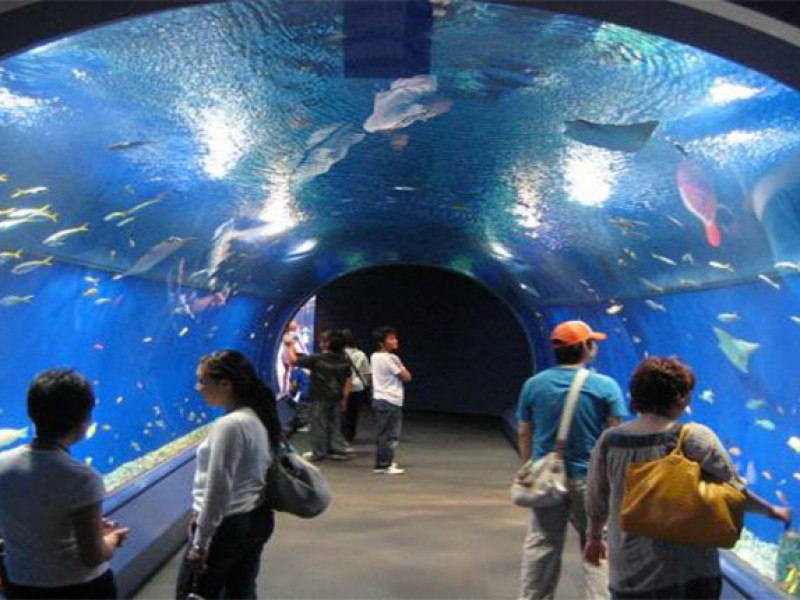 Гранд Аквариум в Хургад by Star Khattabych Tours