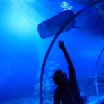 Гранд Аквариум в Хургад by Star Khattabych Tours
