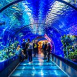 Гранд Аквариум в Хургад by Star Khattabych Tours