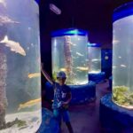Гранд Аквариум в Хургад by Star Khattabych Tours