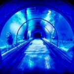 Гранд Аквариум в Хургад by Star Khattabych Tours