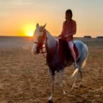 Прогулка на лошадях с купанием в море by star khattabych tours 4