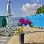 Плавание с дельфинами в Хургаде 7 Шоу дельфинарий из Хургады by Star Khattabych Tours