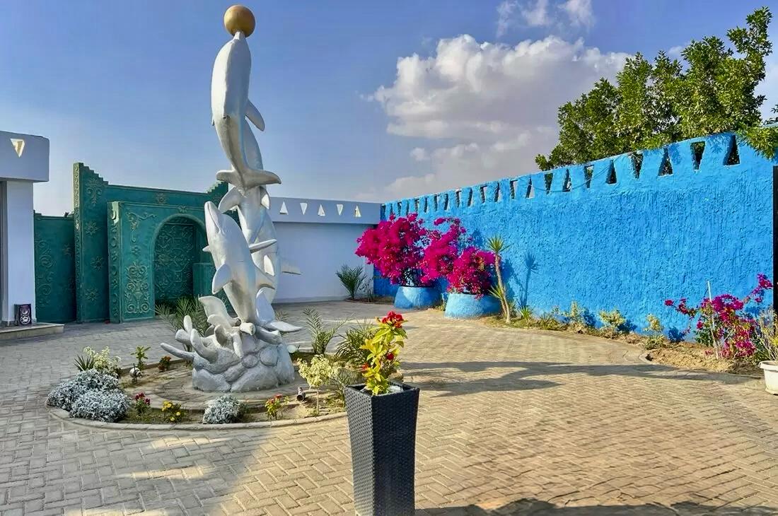 Шоу дельфинарий из Хургады by Star Khattabych Tours 2 Шоу дельфинарий из Хургады by Star Khattabych Tours