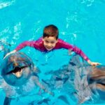 Плавание с дельфинами в Хургаде 10 Шоу дельфинарий из Хургады by Star Khattabych Tours