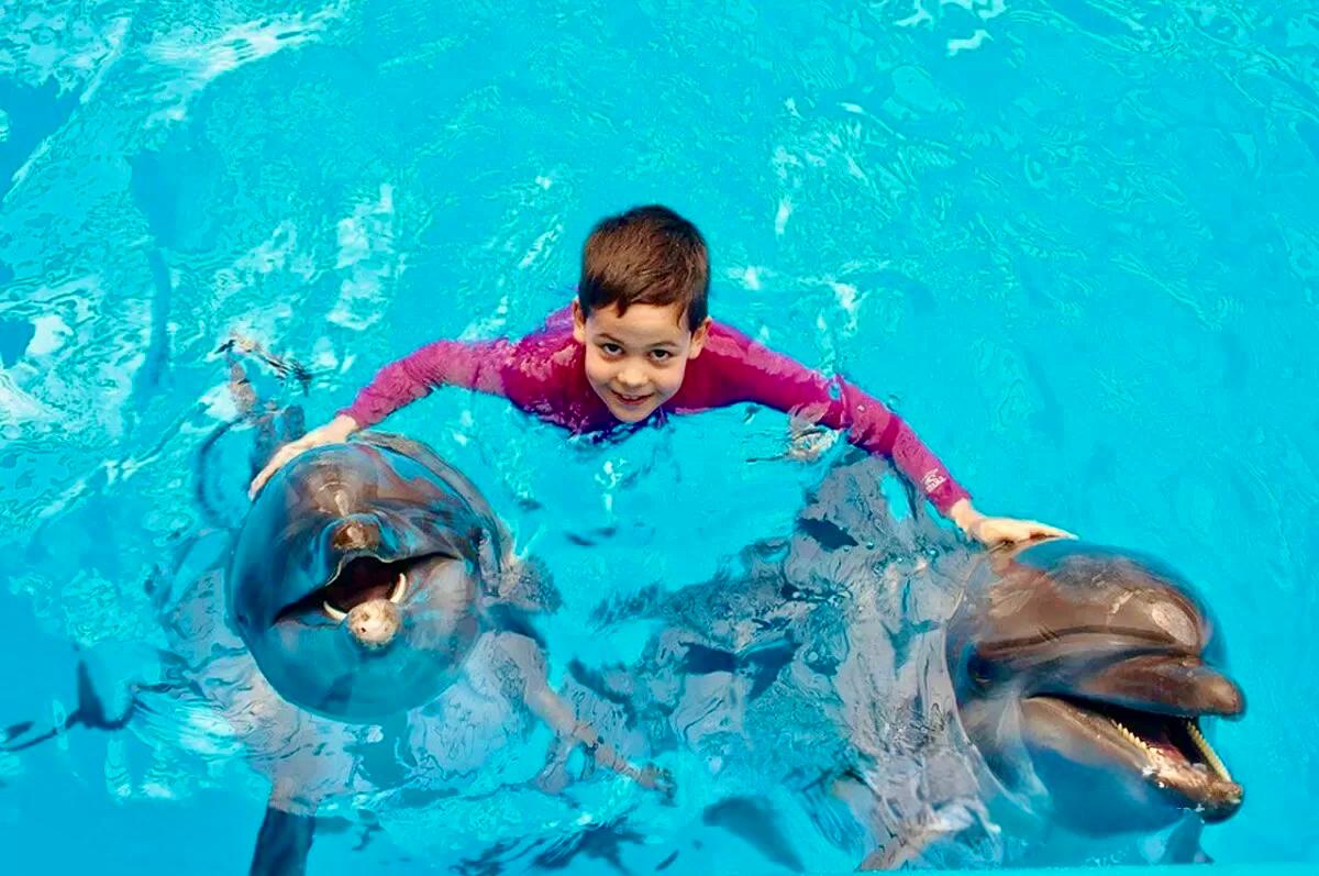 Шоу дельфинарий из Хургады by Star Khattabych Tours 5 Шоу дельфинарий из Хургады by Star Khattabych Tours