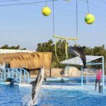 Шоу дельфинарий из Хургады by Star Khattabych Tours