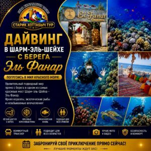 Дайвинг в Шарм-эль-Шейхе с берега Эль Фанар by star khattbych tours