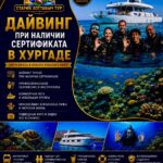 Дайвинг при наличии сертификата в Хургаде by star khattabych tours