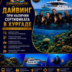 Дайвинг при наличии сертификата в Хургаде by star khattabych tours