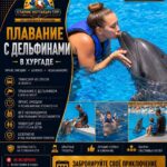 Плавание с дельфинами в Хургаде 1 Плавание с дельфинами в Хургаде by Star Khattabych Tours 2018