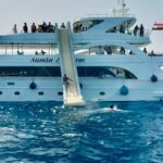 Премиум яхта в Рас Мохаммед и на Белый остров Египетские Мальдивы+ Морепродукты by Star Khattabych Tours