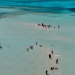 Премиум яхта в Рас Мохаммед и на Белый остров Египетские Мальдивы+ Морепродукты by Star Khattabych Tours